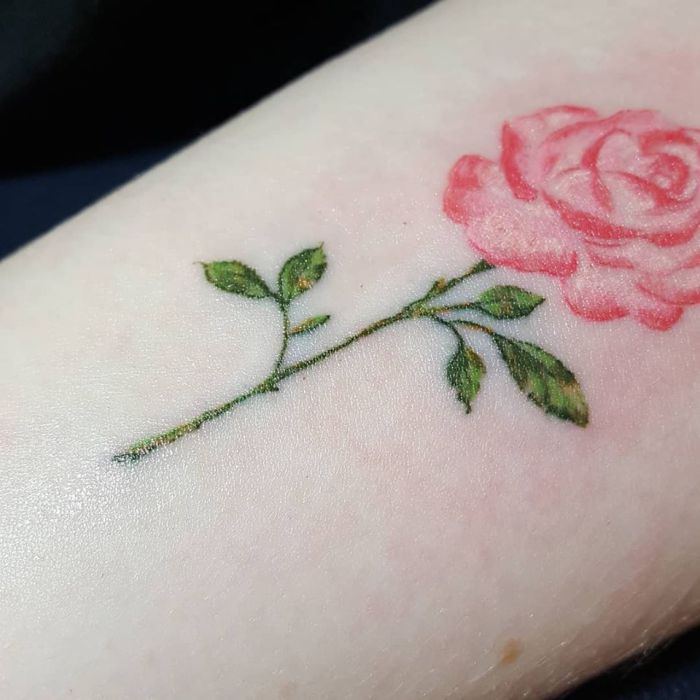 mini-rose