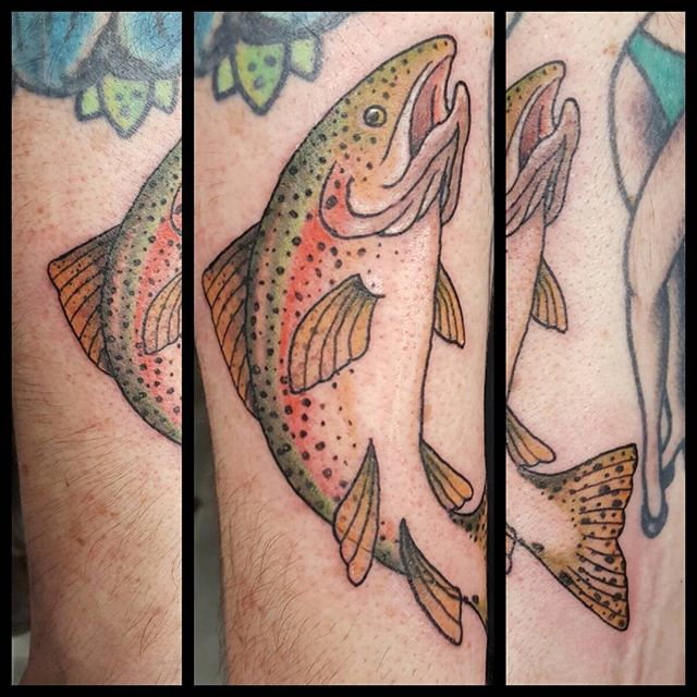 trout
