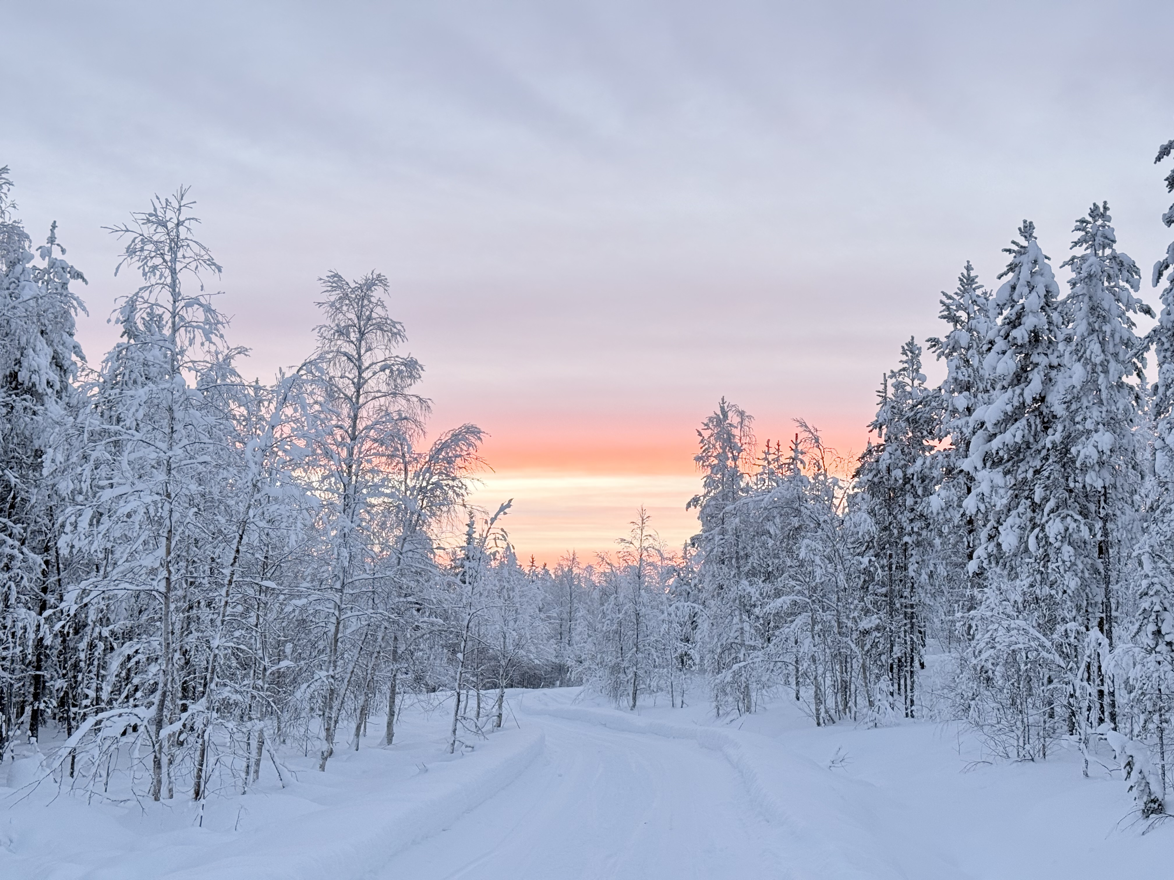road to cabins
