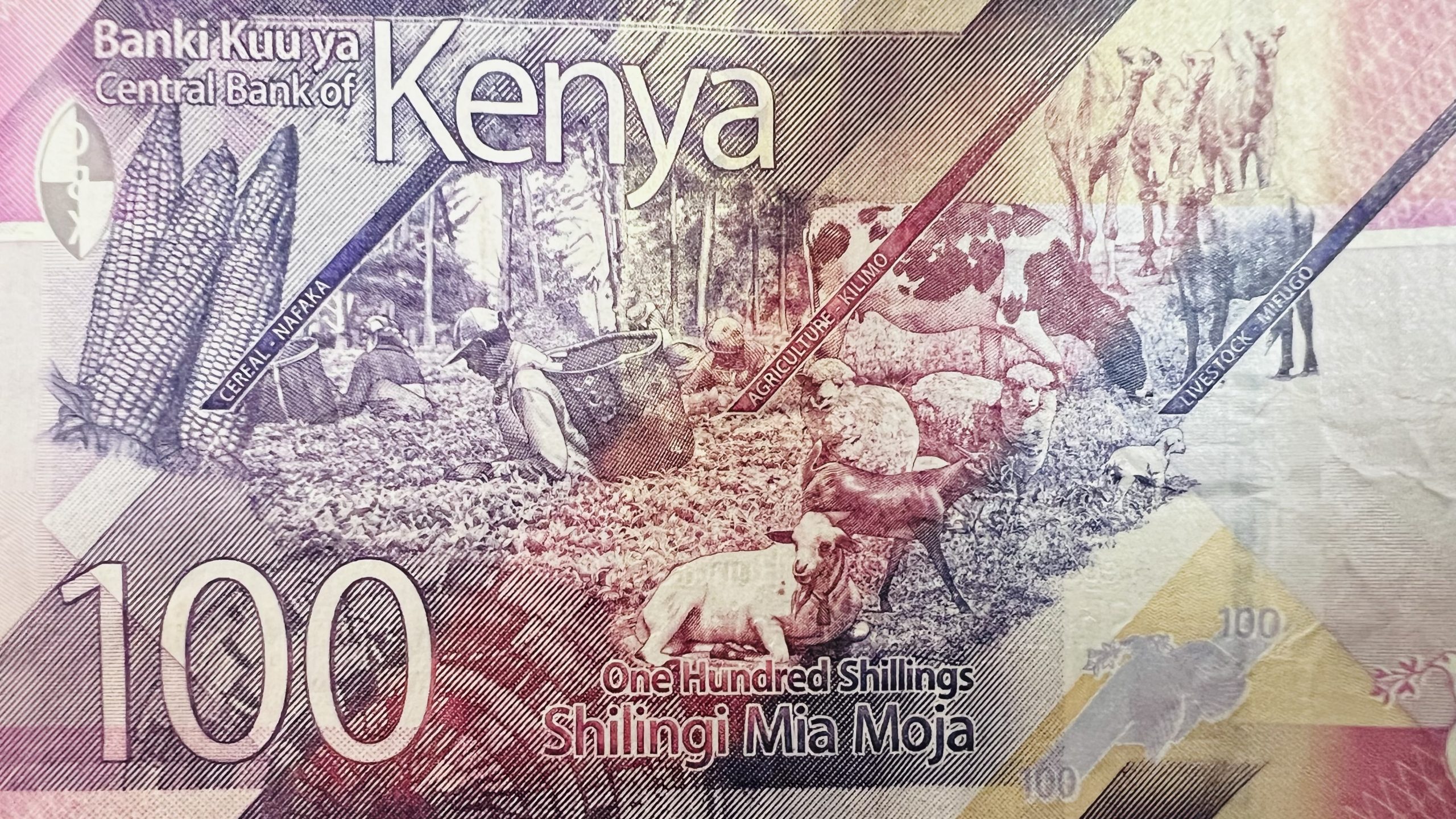 ケニアシリングの日本円からの上手な両替とキャッシュレス送金のコツ