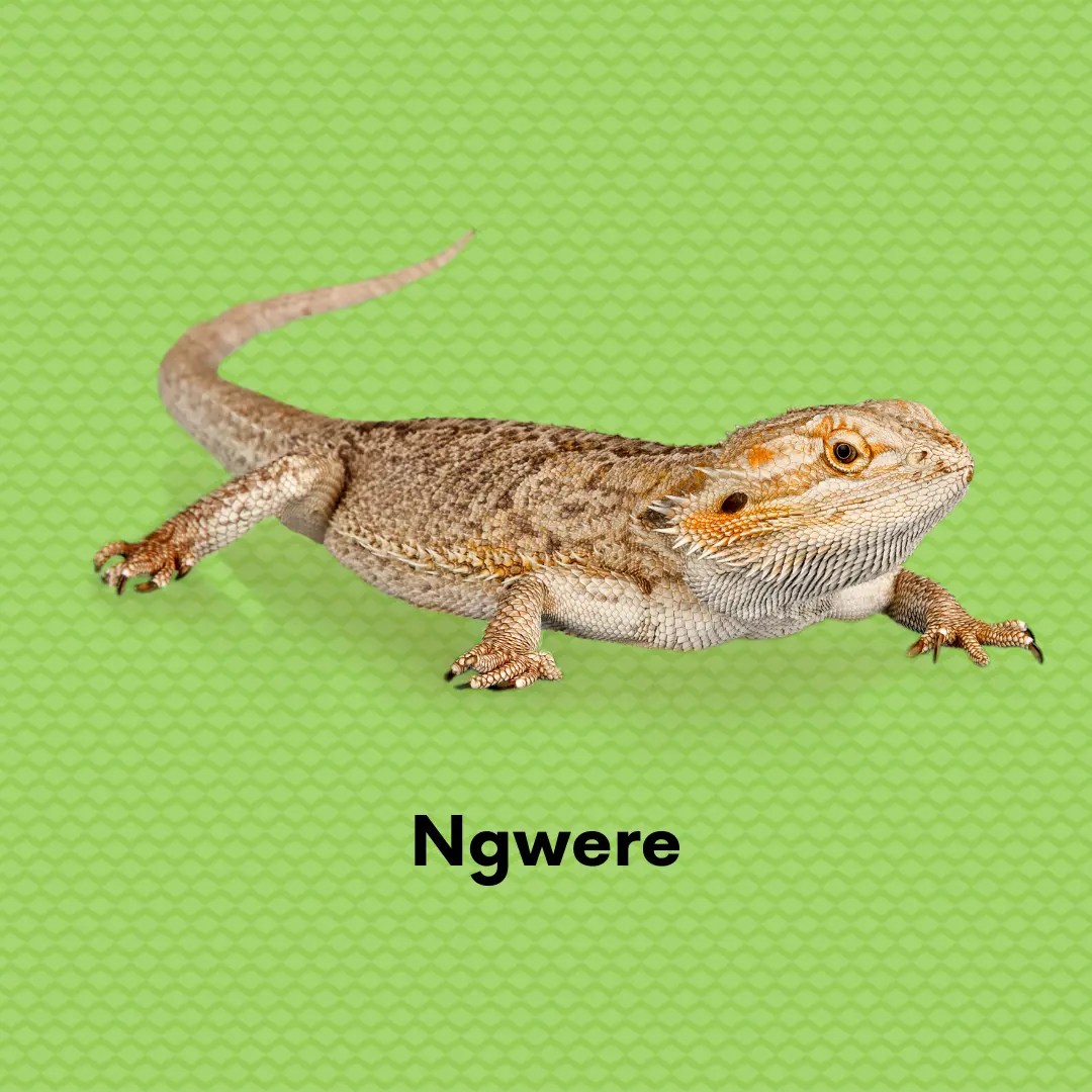 69
