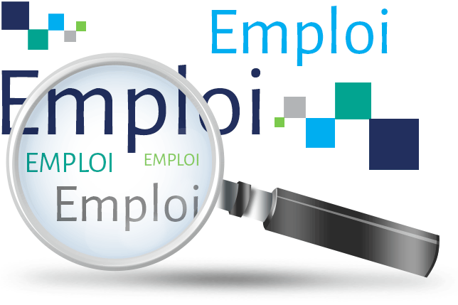 Offre d emploi editeur