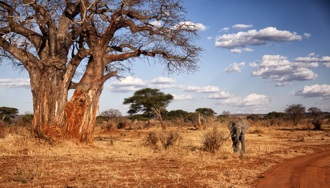 Tanzania Safari Private Safari L African Queen Adventures