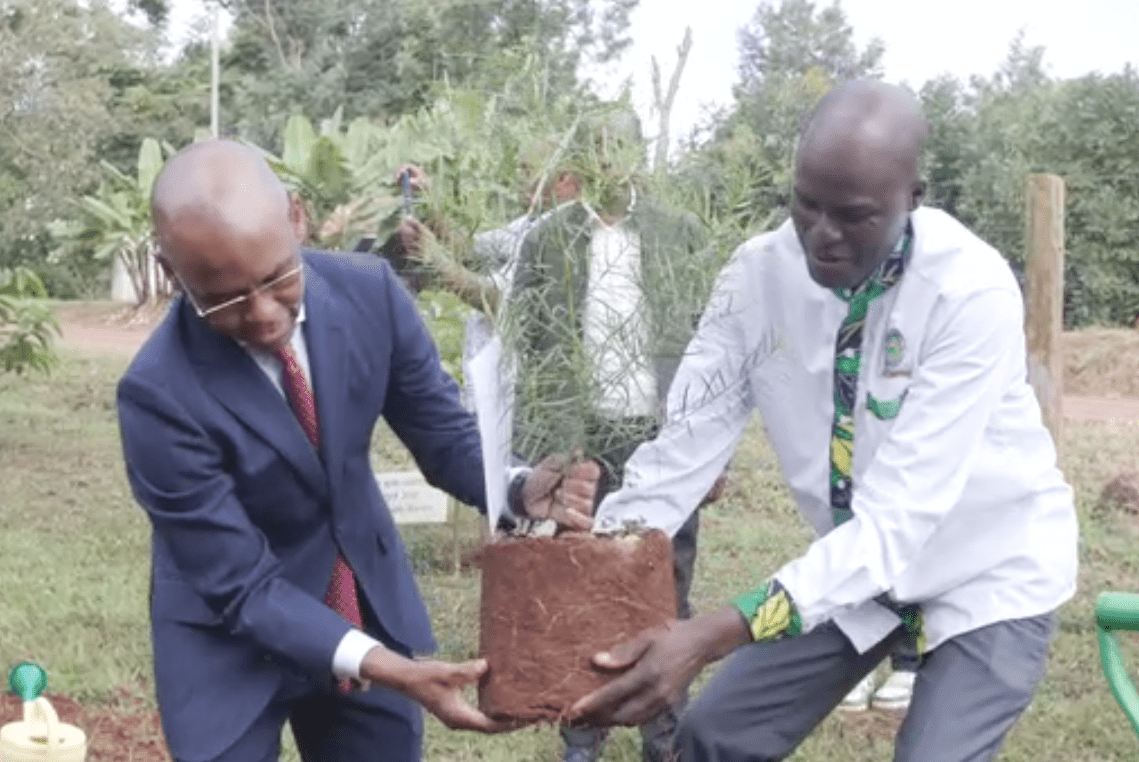 Safaricom CEO Peter Ndegwa plants a tree at Meru University of Science and Technology