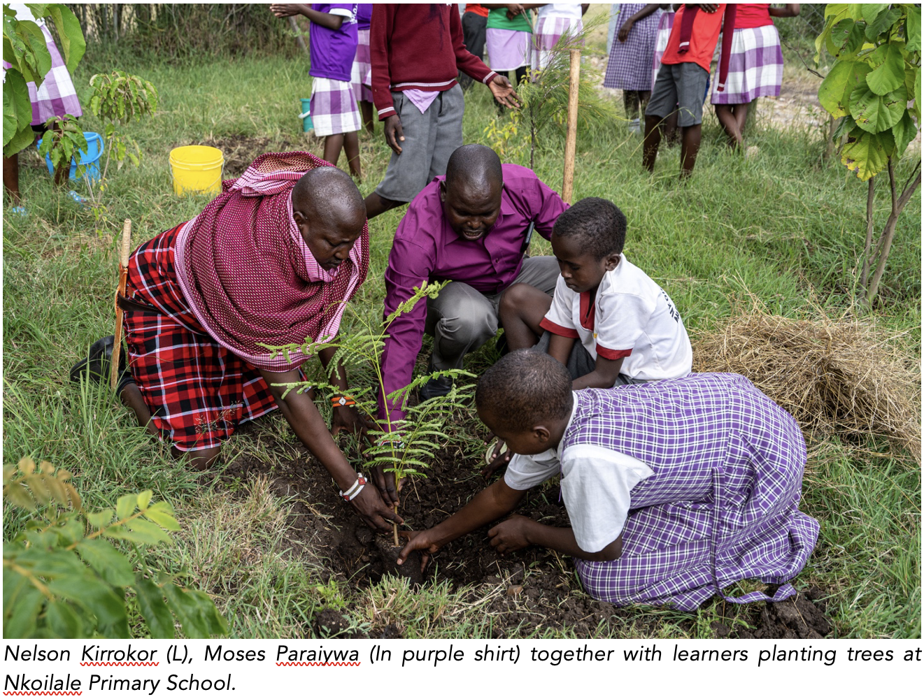 Nelson Kirrokor (L), Moses Paraiywa (In purple shirt) together with learners planting trees at Nkoilale Primary School.