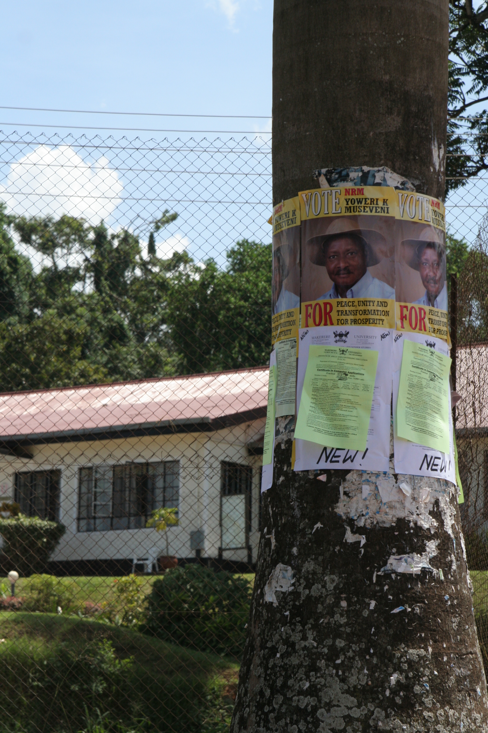 Uganda campaign flyer on tree says vote NRM Yoweri Museveni for peace, unity and transformation for prosperity