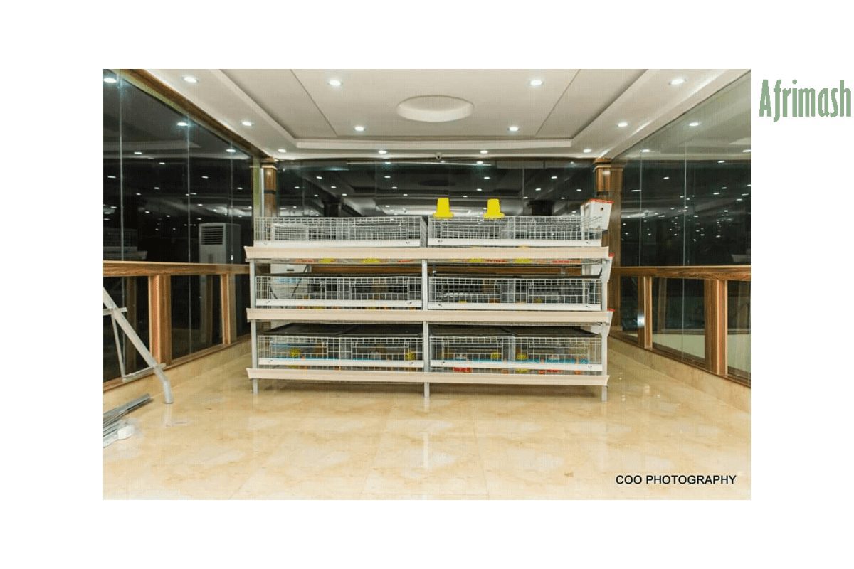 br0iler/brooding cage