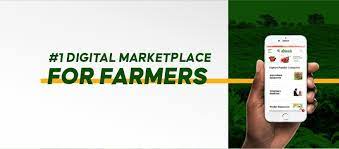 The Ultimate Guide to Running a Profitable Poultry Farm 3 Afrimash Logo