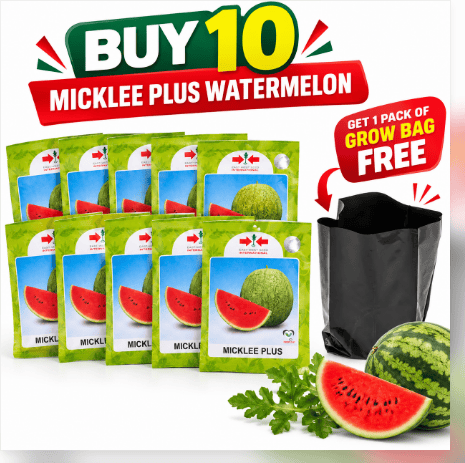 micklee