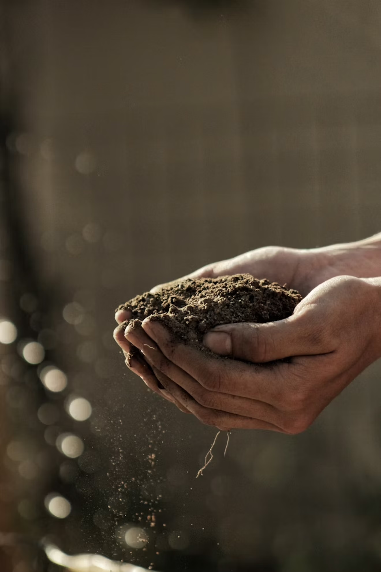The basis of freedom: Reclaiming land as an act of liberation
