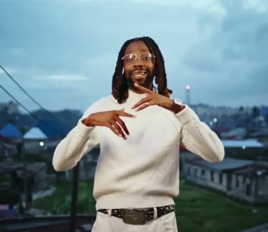 Jay Rox ft. T-Low - Shandi (Visualizer)