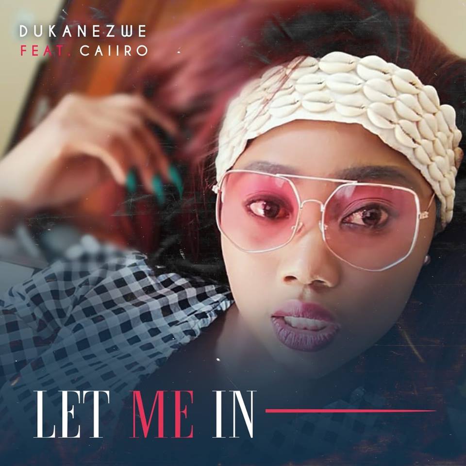 Dukanezwe feat. Caiiro Let Me In (Original Mix) • DOWNLOAD MP3