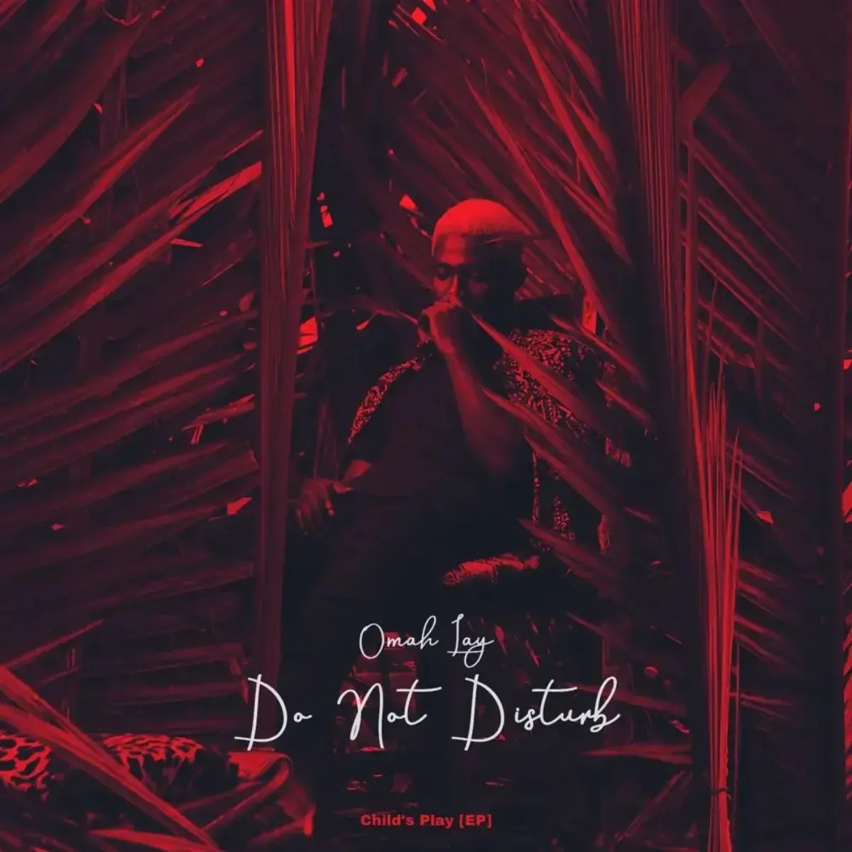 omah-lay-do-not-disturb