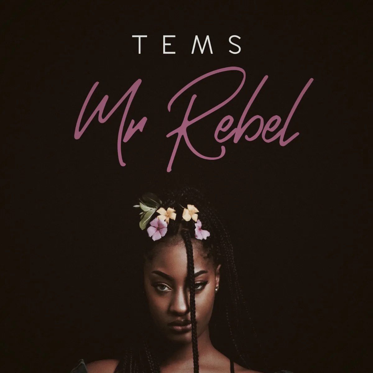 tems-mr-rebel