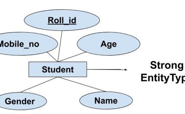 What Is An Entity, Entity Type And Entity Set?