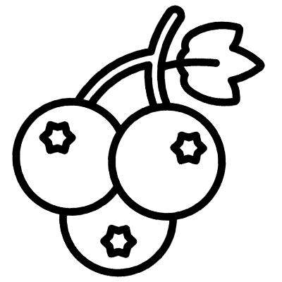 Bilberry Aura Vision
