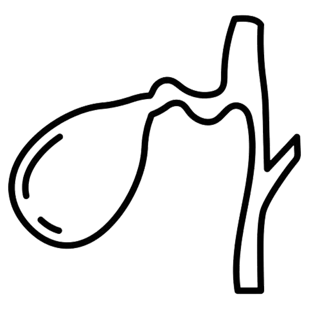 Bile Flow Milk Thistle Complex