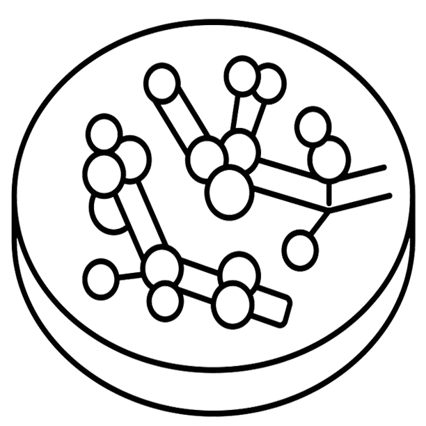 Candida Vaginal Guard