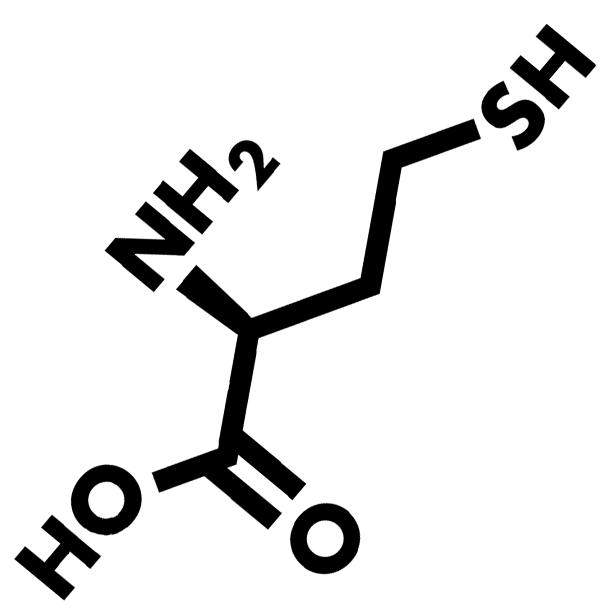Homocysteine HeartBeats