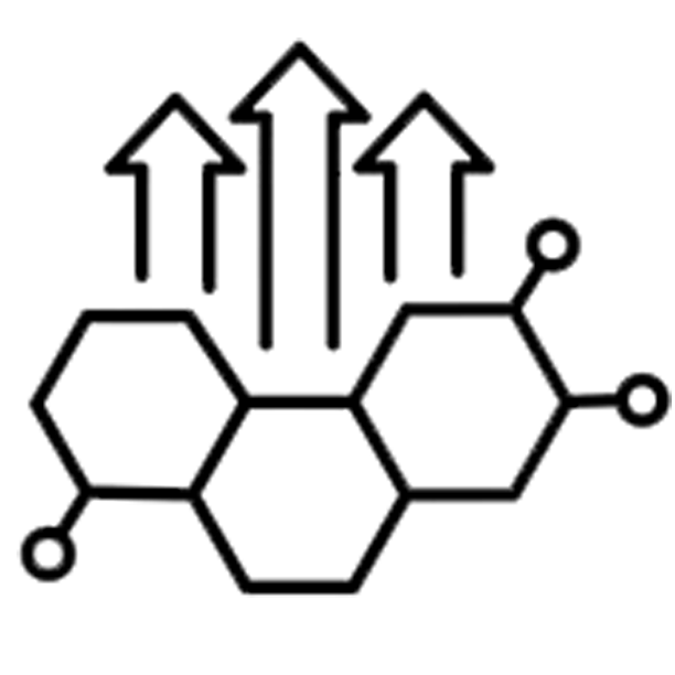 TESTOSTERONE Gentlemen's Edge