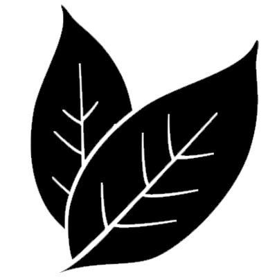 Green Tea Leaf contains antioxidants and bioactive substances like caffeine, which have powerful effects on metabolism. Green tea compounds increase hormones and boost metabolism and energy, helping burn more calories daily