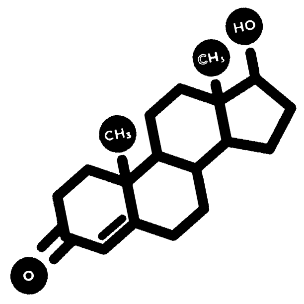 Regulate testosterone levels