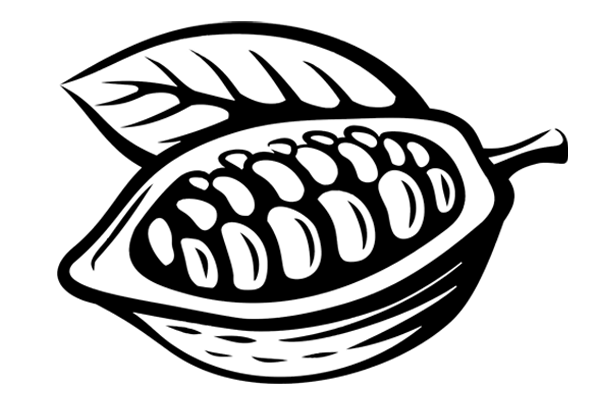 Cocoa has been known to boost metabolism, help the body metabolize fat better, and may improve digestion due to its anti-inflammatory action on the gut. It boosts heart health, fights stress, and improves mood, which may directly impact weight loss.