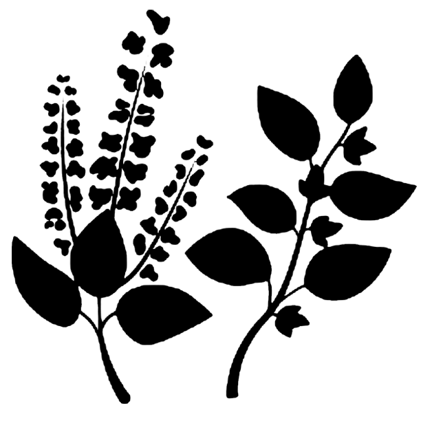 herbs Gentlemen's Edge