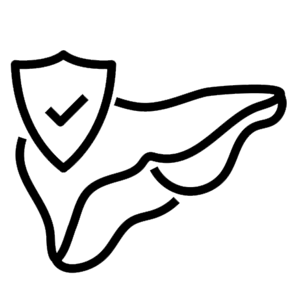 liverfunction Milk Thistle Complex