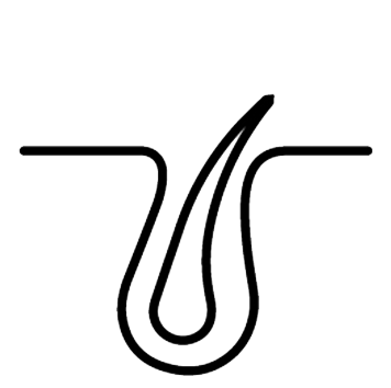 step1 Risk-Free Guarantee