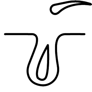 step4 Risk-Free Guarantee