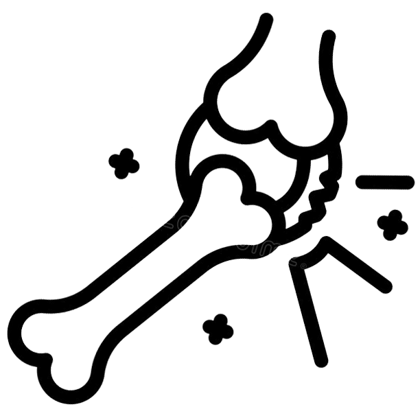 Strong and Lasting Bone System Protection