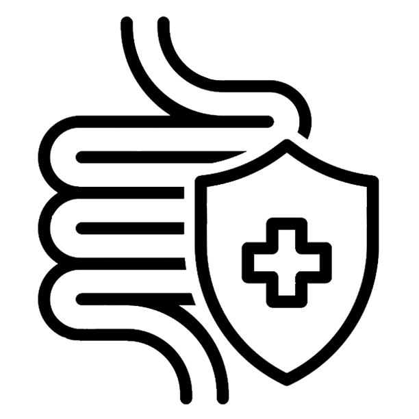 Improves digestive, gut, and probiotic system