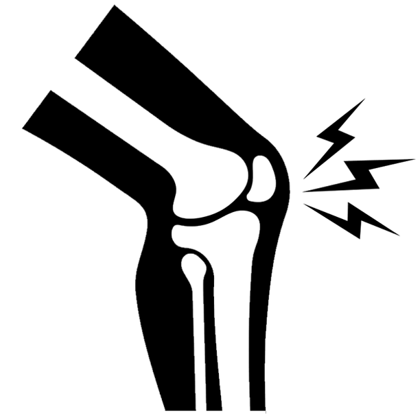 Potent joint health and enhances mobility support