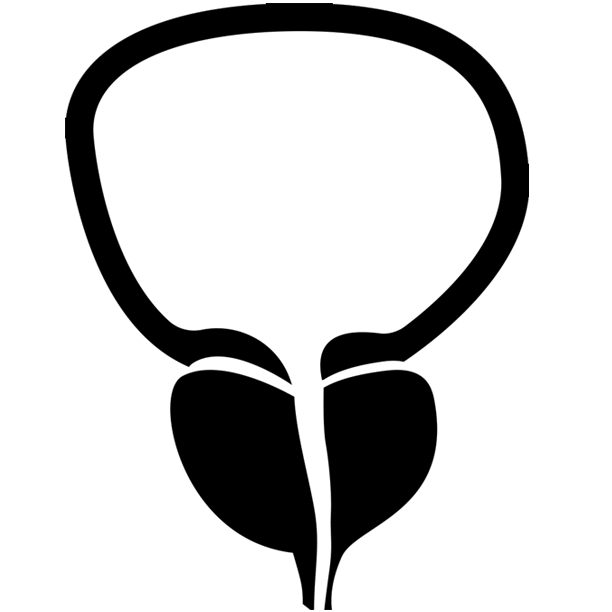 Saw Palmetto+ Aids prostate function and helps decrease BPH levels