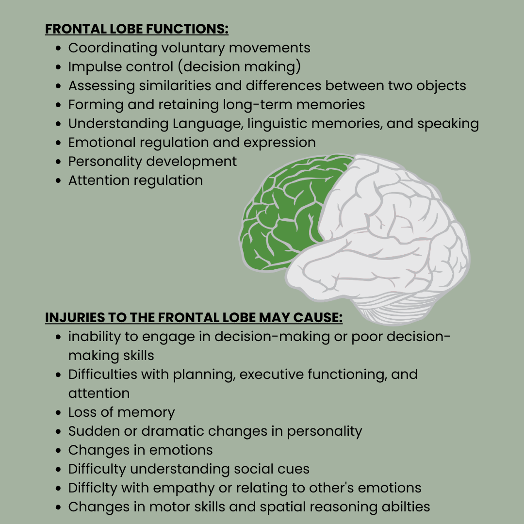 Frontal lobe functions