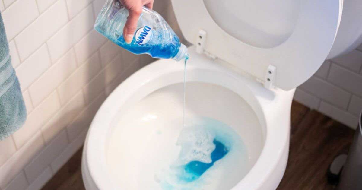 How To Unclog A Toilet With Dish Soap Complete Guide A Full Table