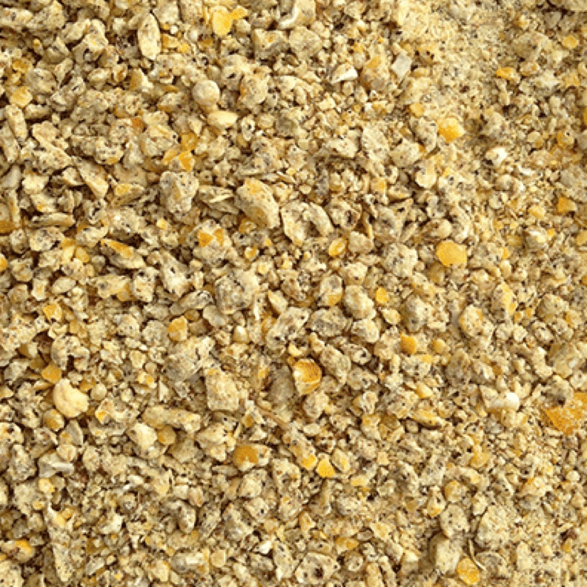 Birds pollinate our plants, control bugs and pests, and even provide fertilizer for gardens and. Modesto Milling Organic Turkey Gamebird Starter Crumbles 28 5051 Agape Distributors