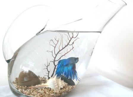 Betta in Decanter $45.90