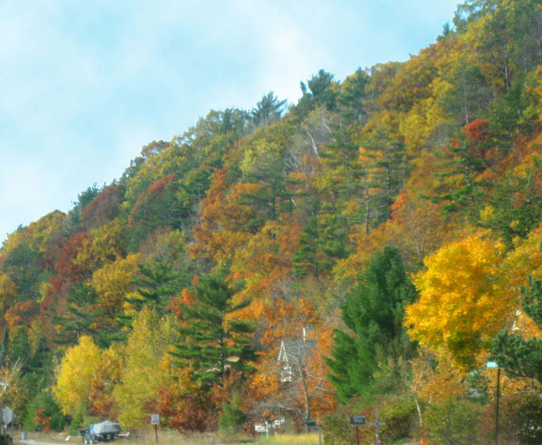 fall-Color-1-large