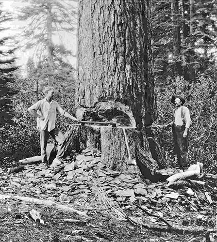002-Logging-large