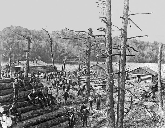 003-Logging-large