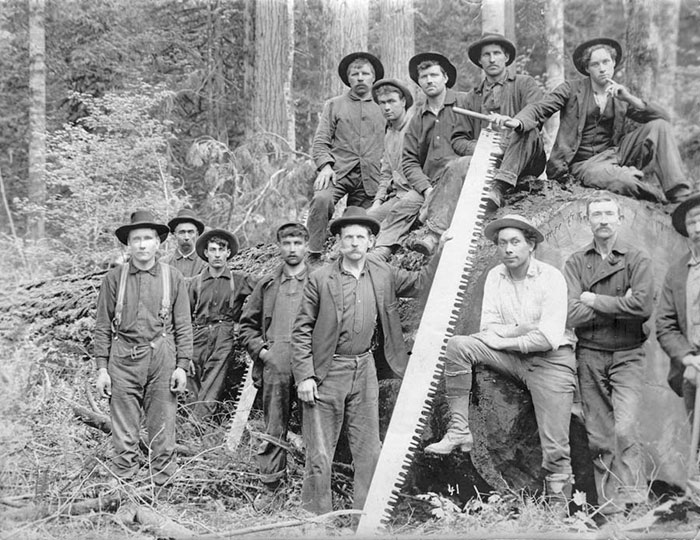 005-Logging-large