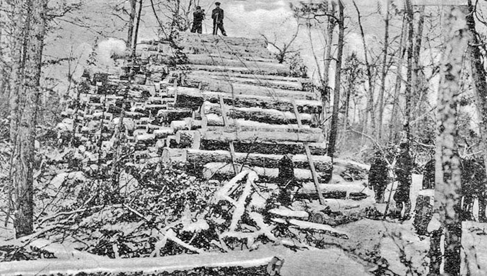 007-Logging-large
