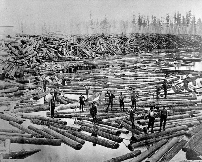008-Logging-large
