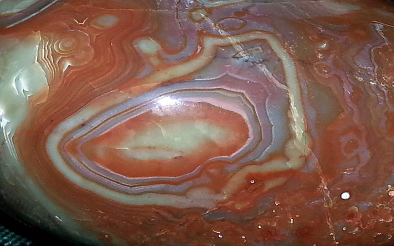 Agate-Finds-003