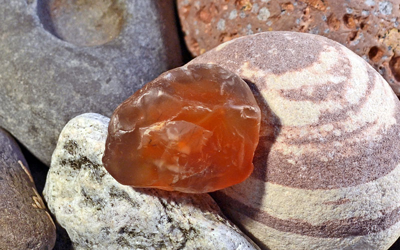 Agate-Finds-006