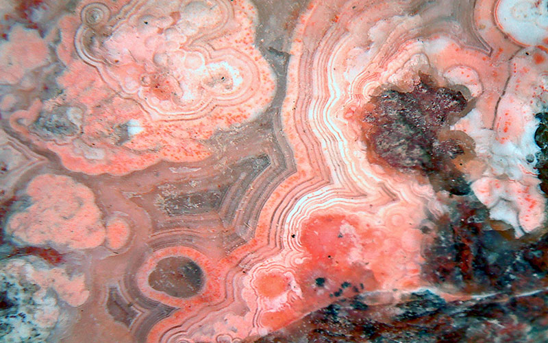 Agate-Finds-009