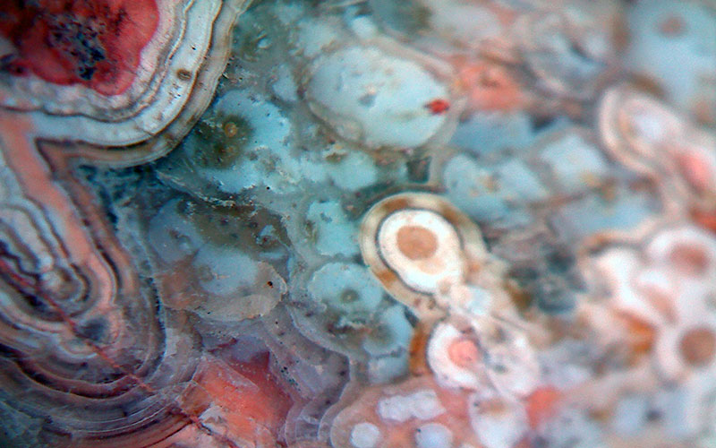 Agate-Finds-010