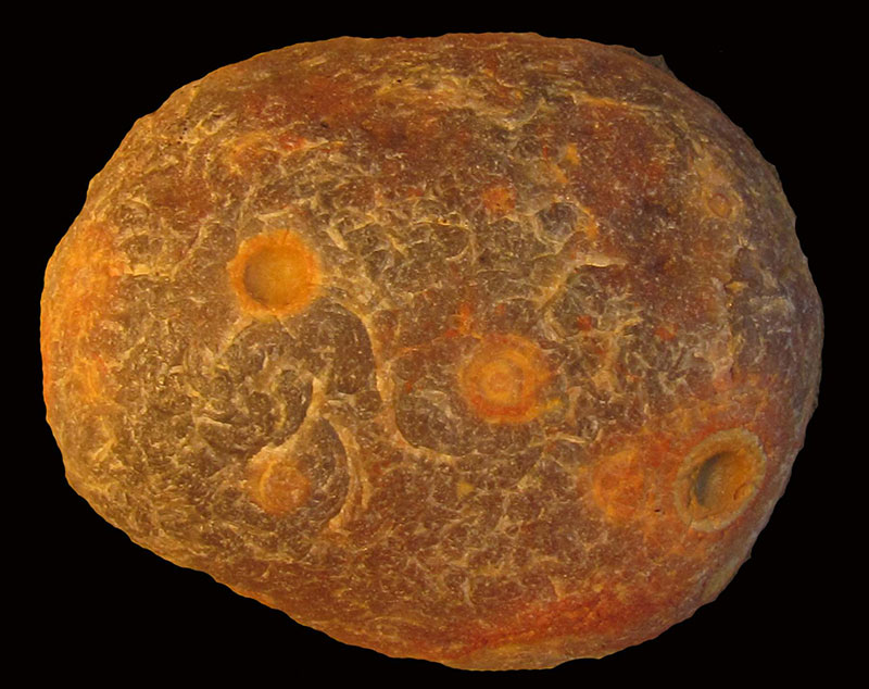 Agate-Finds006